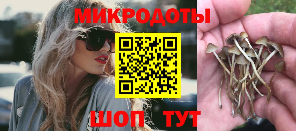сколько стоит  Галлюциногенные грибы Psilocybe  Вход с VPN  Великий Новгород 