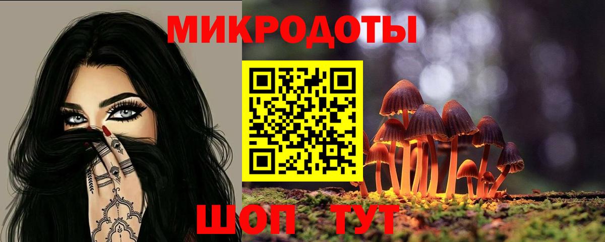 Галлюциногенные грибы прущие грибы Великий Новгород